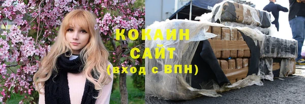 шишки Касимов