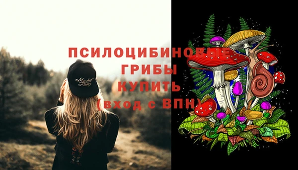 шишки Касимов