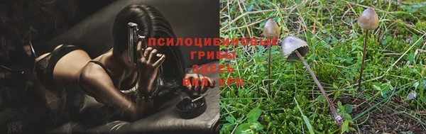 шишки Касимов