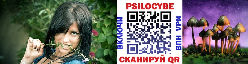 Галлюциногенные грибы Psilocybine cubensis  как найти закладки  Ленинск-Кузнецкий 