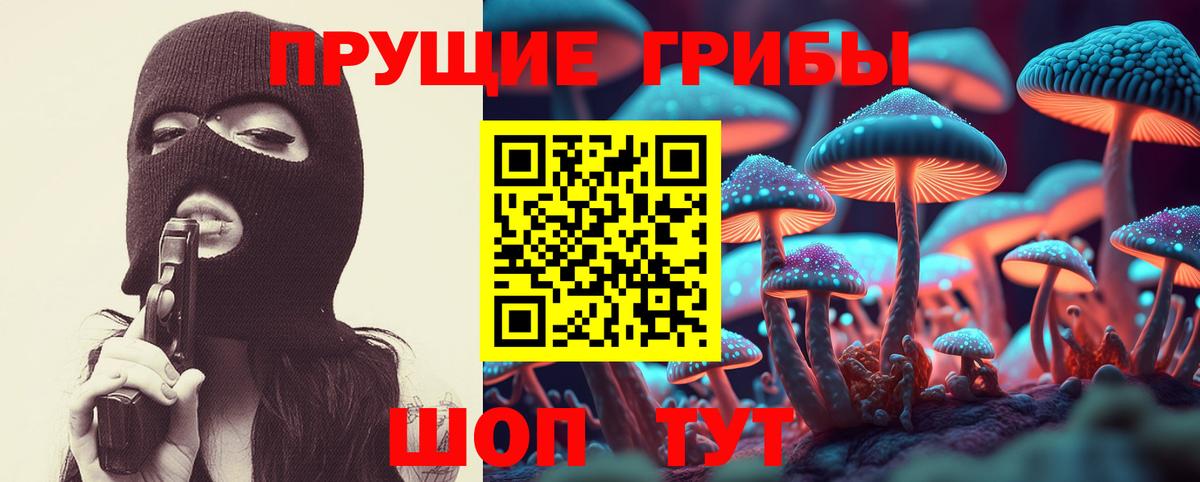 Псилоцибиновые грибы Cubensis  закладка  Псилоцибиновые грибы Magic Shrooms  Ленинск-Кузнецкий  Вход с VPN 